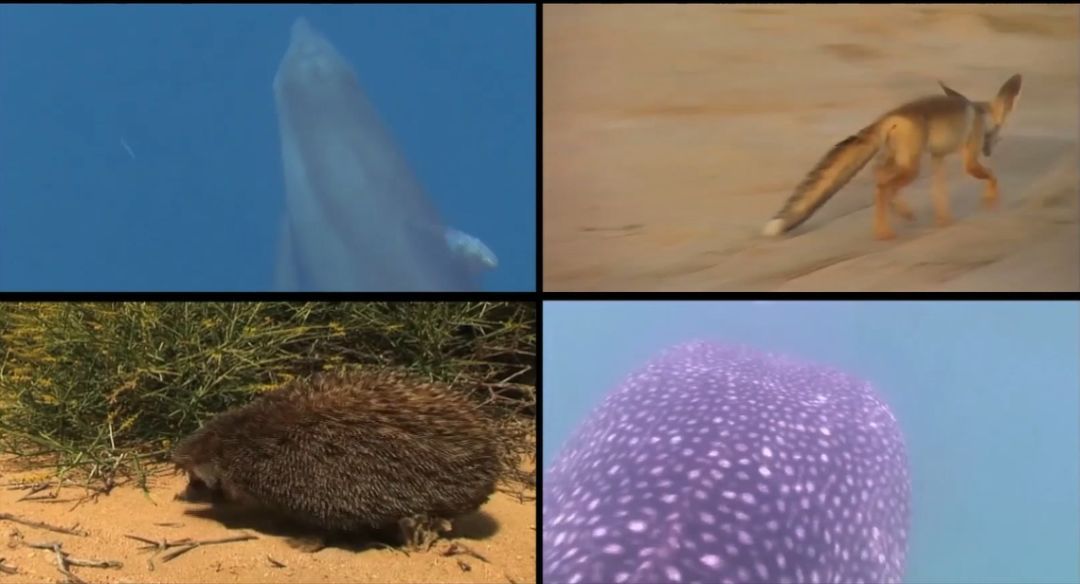 йط(ɷ)޹˾-ٷվ