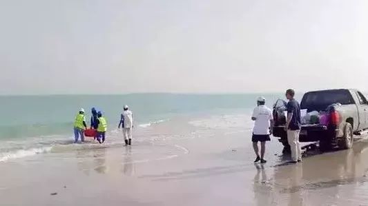 йط(ɷ)޹˾-ٷվ